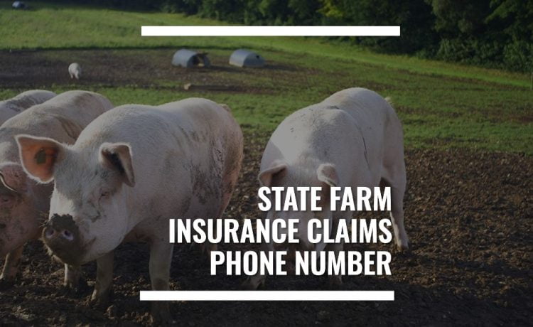 State Farm Insurance Claims Phone Number Bmtscorp