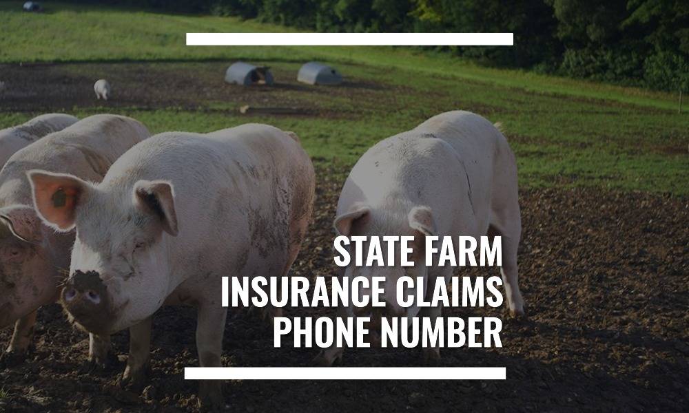 State Farm Insurance Claims Phone Number BMTS Corp